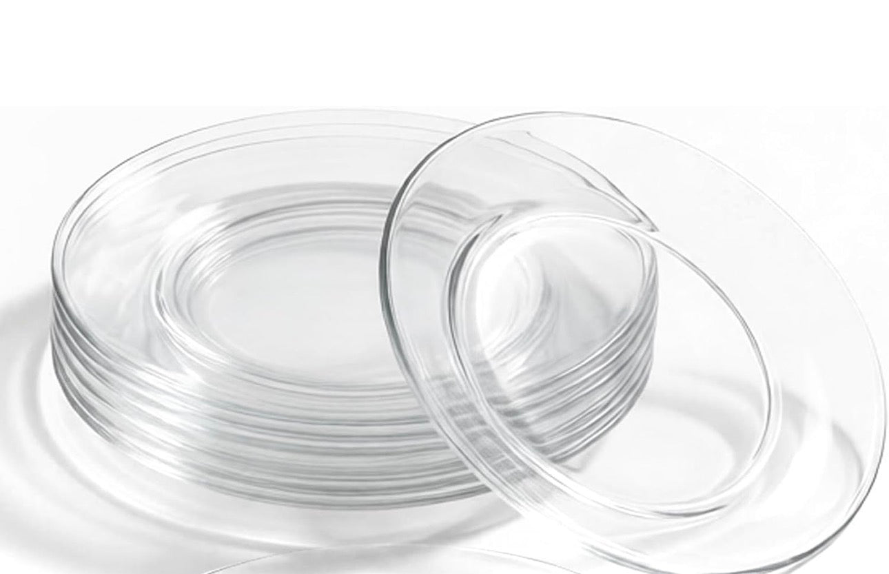 Dinner Plates